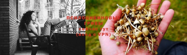 a pvp Верхнеуральск