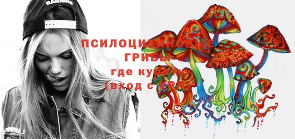 гидра Верея