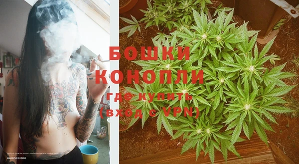 гидра Верея