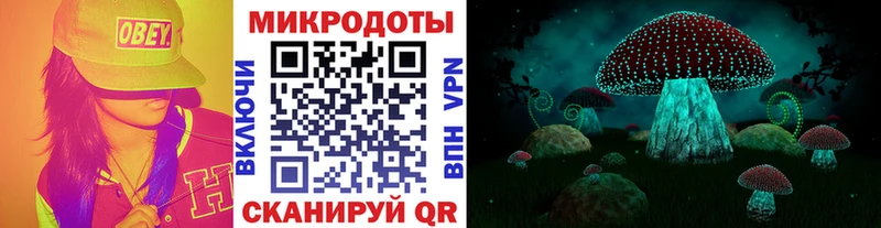 Галлюциногенные грибы прущие грибы  Артём 